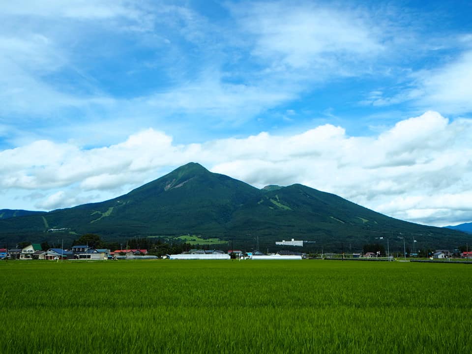 移住時に活用できる補助金