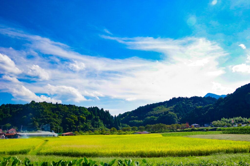 福島への移住を検討する際に使える補助金
