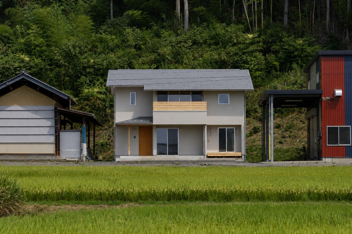 風かおる、青田にひらく家