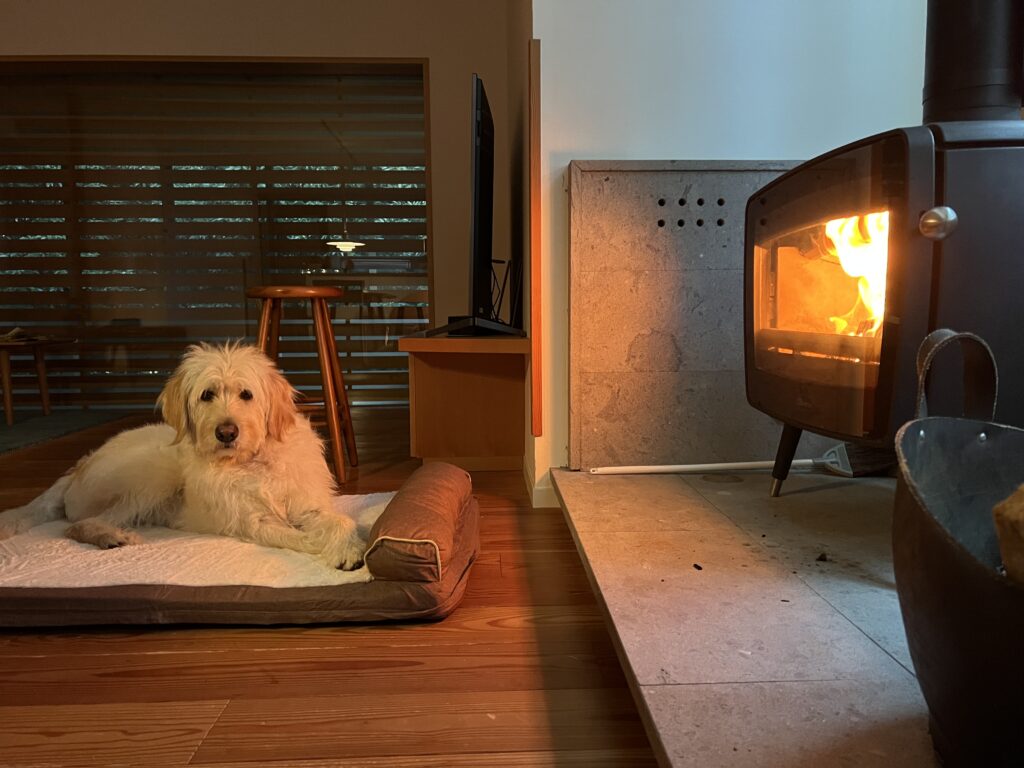 犬と寄り添う暮らしにぴったりな住まいの工夫