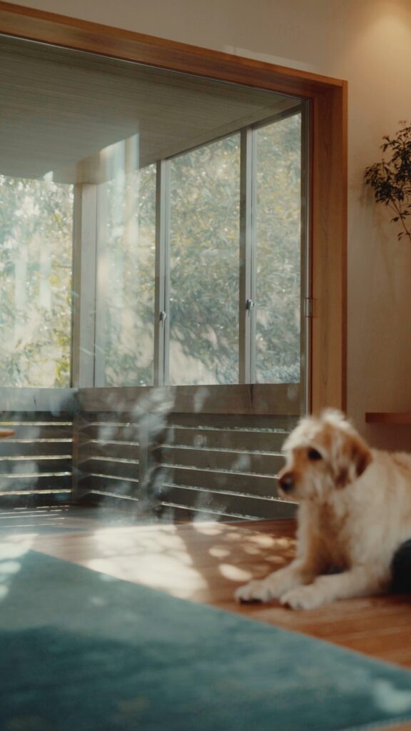 やわらかな光に包まれる空間づくり